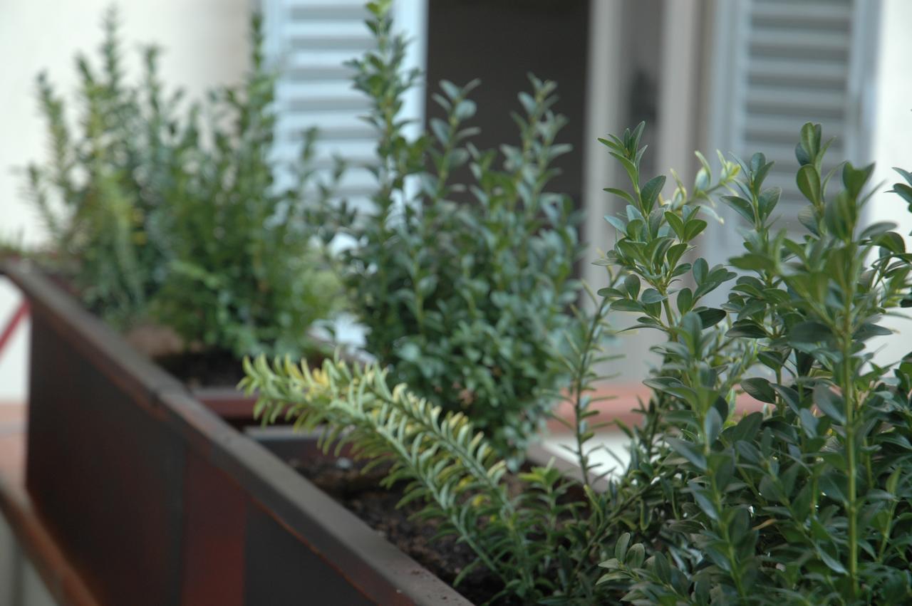 ארצו Ghibellino B&B מראה חיצוני תמונה